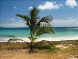 Escondida Beach of Vieques - VIEQUES